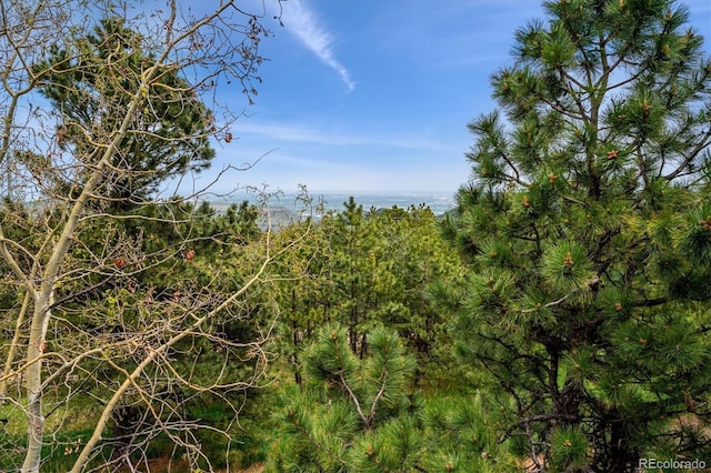 25808 Sunrise Ln, Golden, CO 80401 - photo 47