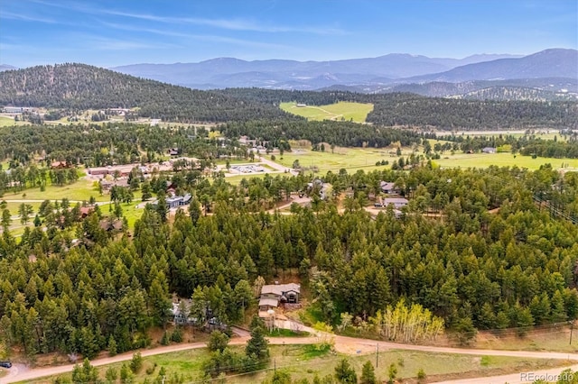 25808 Sunrise Ln, Golden, CO 80401 - photo 4