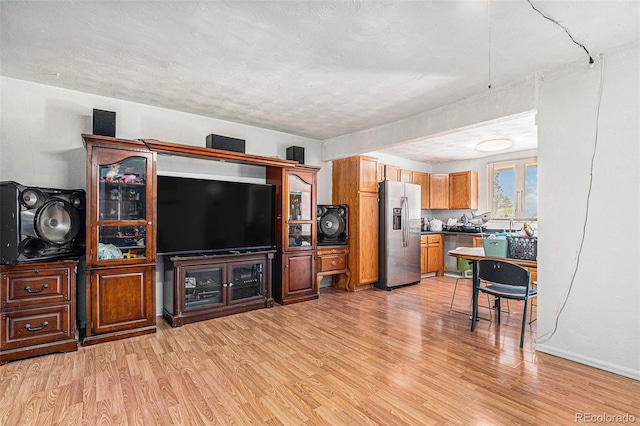 living room featuring light hardwood / wood-style floors and a textured ceiling