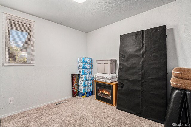 misc room with carpet floors and a textured ceiling