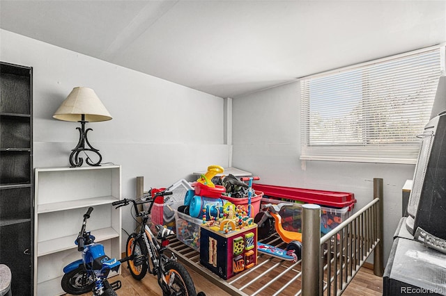 bedroom with hardwood / wood-style flooring