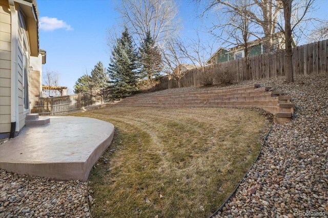 view of yard with a fenced backyard