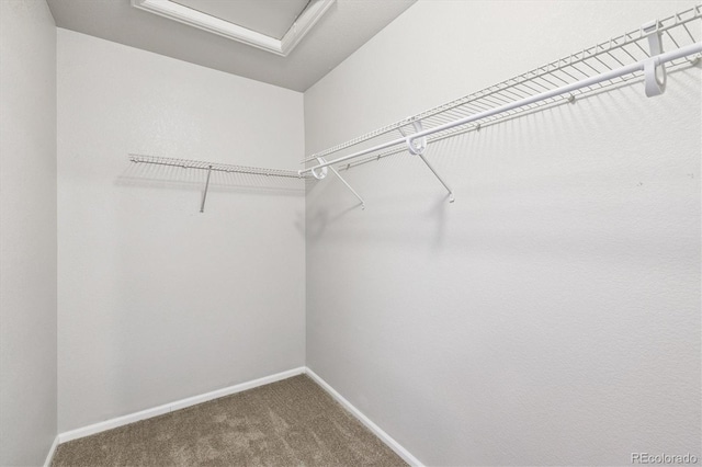 19209 E 58th Ave Unit C, Denver, CO 80249 - spacious closet featuring carpet floors and attic access