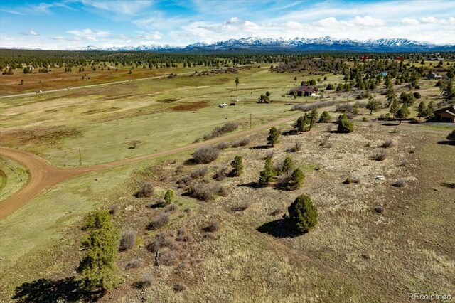1234 Scenic Ave, Pagosa Springs, CO 81147 - photo 1