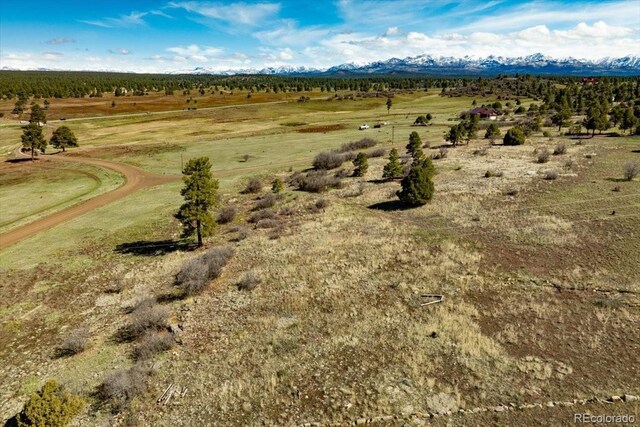 1234 Scenic Ave, Pagosa Springs, CO 81147 - photo 2
