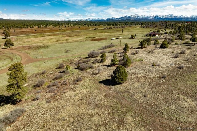 1234 Scenic Ave, Pagosa Springs, CO 81147 - photo 3