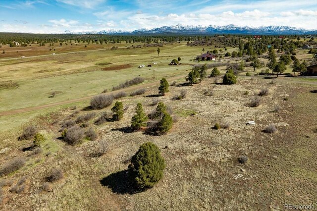 1234 Scenic Ave, Pagosa Springs, CO 81147 - photo 4