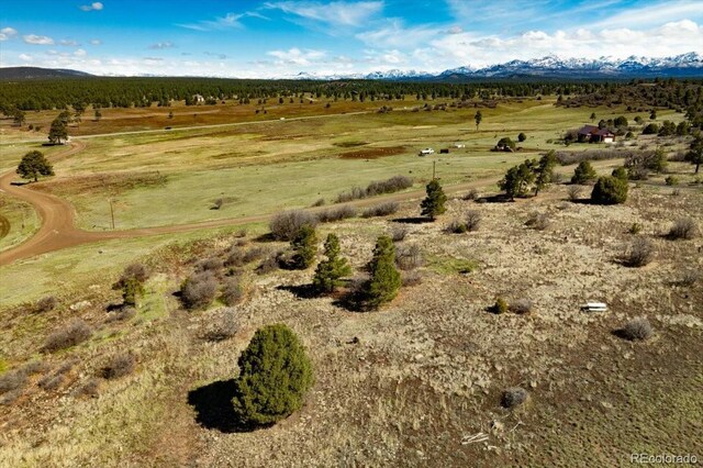 1234 Scenic Ave, Pagosa Springs, CO 81147 - photo 5