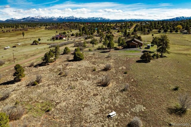 1234 Scenic Ave, Pagosa Springs, CO 81147 - photo 6