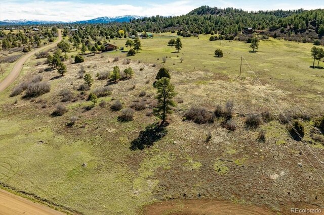 1234 Scenic Ave, Pagosa Springs, CO 81147 - photo 7