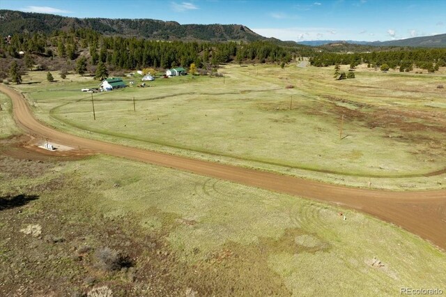 1234 Scenic Ave, Pagosa Springs, CO 81147 - photo 8