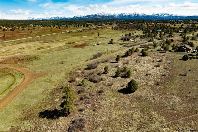 1234 Scenic Ave, Pagosa Springs, CO 81147 - photo 10