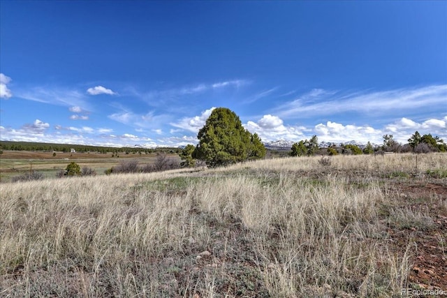 1234 Scenic Ave, Pagosa Springs, CO 81147 - photo 18
