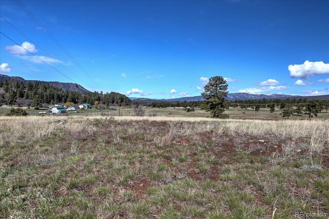 1234 Scenic Ave, Pagosa Springs, CO 81147 - photo 19