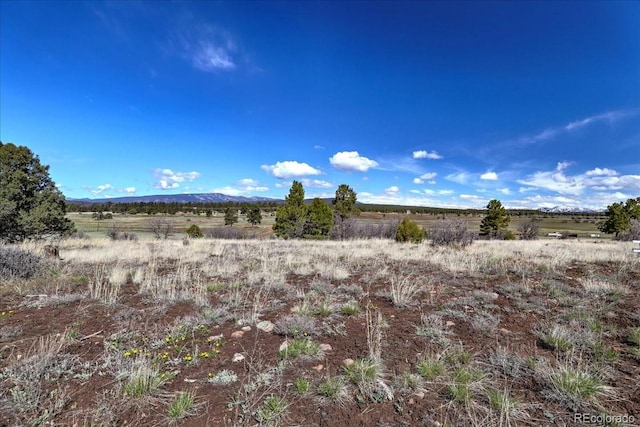 1234 Scenic Ave, Pagosa Springs, CO 81147 - photo 21
