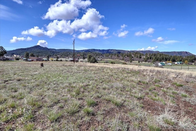 1234 Scenic Ave, Pagosa Springs, CO 81147 - photo 22