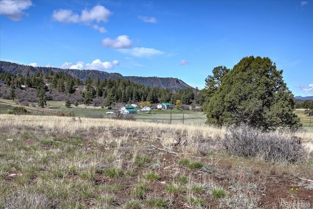 1234 Scenic Ave, Pagosa Springs, CO 81147 - photo 23