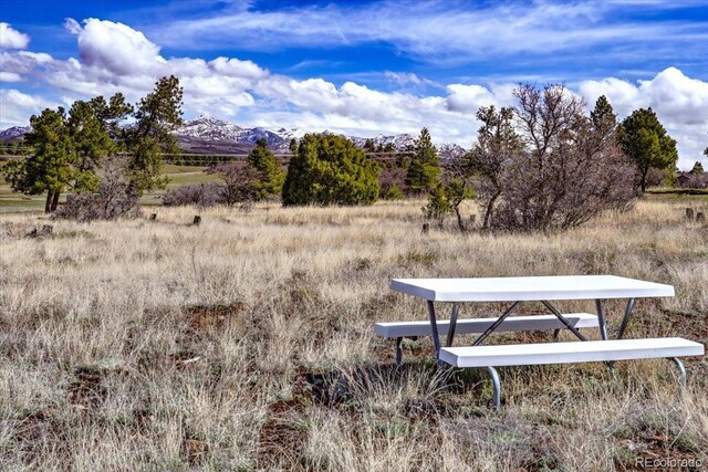 1234 Scenic Ave, Pagosa Springs, CO 81147 - photo 24