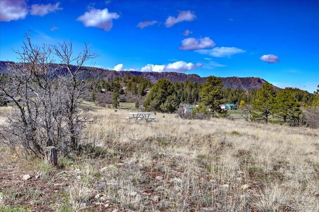 1234 Scenic Ave, Pagosa Springs, CO 81147 - photo 25