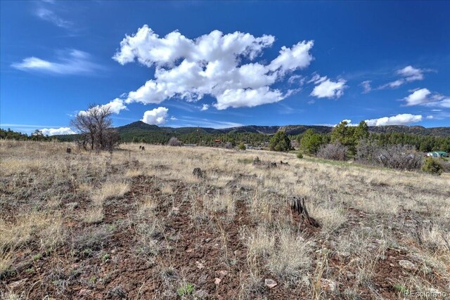 1234 Scenic Ave, Pagosa Springs, CO 81147 - photo 26