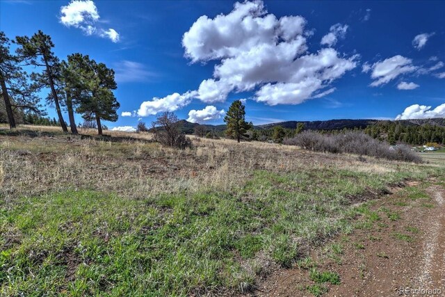 1234 Scenic Ave, Pagosa Springs, CO 81147 - photo 29
