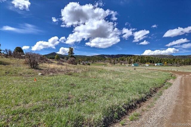 1234 Scenic Ave, Pagosa Springs, CO 81147 - photo 30