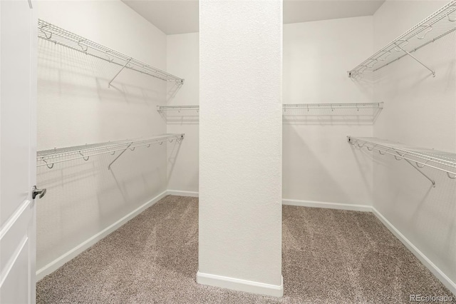 spacious closet with carpet floors