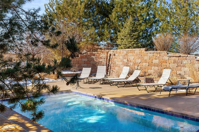 view of swimming pool featuring a patio