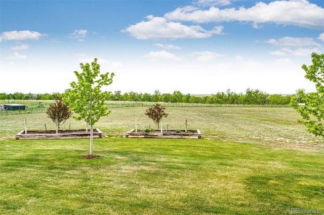 196 W 8th Ave, Byers, CO 80103 - view of green lawn with a view of rural / pastoral area and a garden