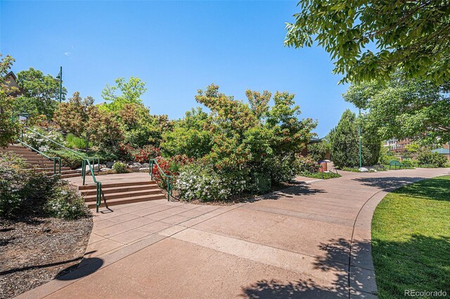 1044 Rockhurst Dr Unit 207, Highlands Ranch, CO 80129 - photo 35