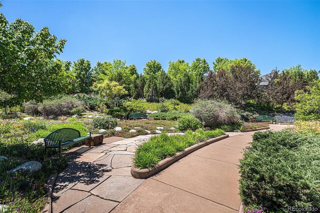 1044 Rockhurst Dr Unit 207, Highlands Ranch, CO 80129 - photo 38