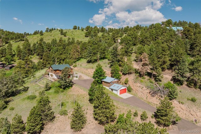 12135 Cochise Cir, Conifer, CO 80433 - photo 41
