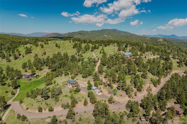 12135 Cochise Cir, Conifer, CO 80433 - photo 40