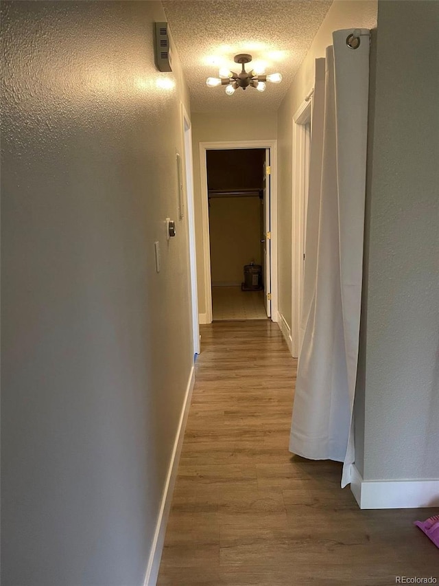 1415 Bacchus Dr Unit D9, Lafayette, CO 80026 - corridor with wood finished floors, a chandelier, and a textured ceiling