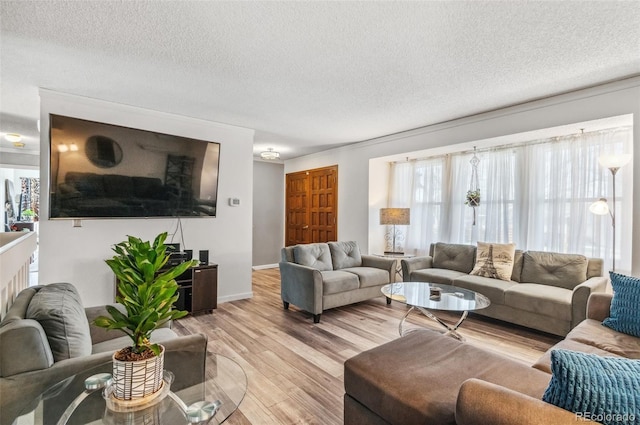 6735 E Lake Cir, Centennial, CO 80111 - living room with baseboards, a textured ceiling, and light wood-style flooring