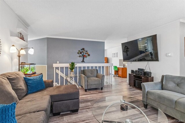 6735 E Lake Cir, Centennial, CO 80111 - living area with wood finished floors, a textured ceiling, and ornamental molding