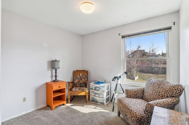 6735 E Lake Cir, Centennial, CO 80111 - sitting room with baseboards, carpet flooring, and a textured ceiling