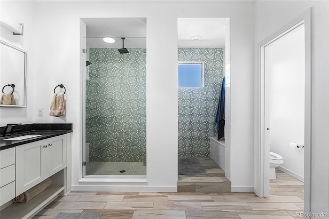 11023 Pastel Pt, Parker, CO 80134 - bathroom featuring vanity, toilet, wood tiled floor, and a stall shower