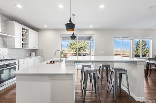 11023 Pastel Pt, Parker, CO 80134 - kitchen featuring appliances with stainless steel finishes, a sink, dark wood-style floors, open shelves, and recessed lighting