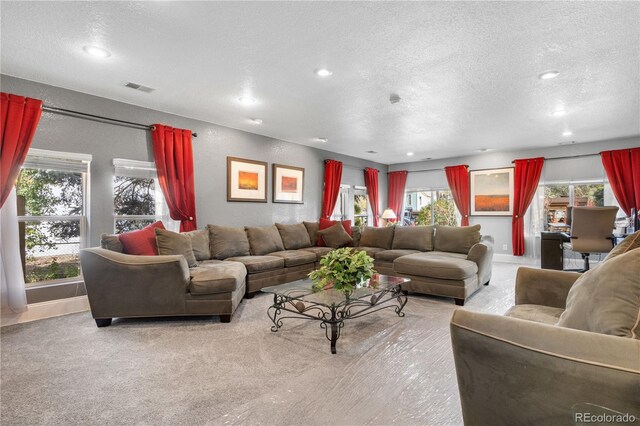 carpeted living room featuring a textured ceiling