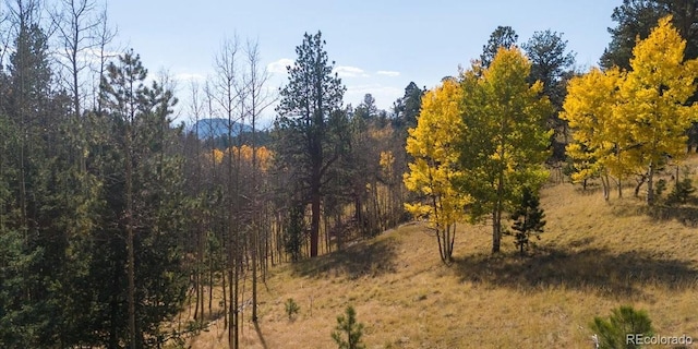 1734 May Queen Dr, Cripple Creek CO, 80813 land for sale