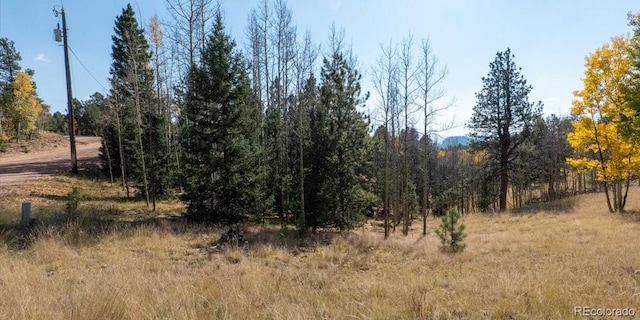 Listing photo 2 for 1734 May Queen Dr, Cripple Creek CO 80813