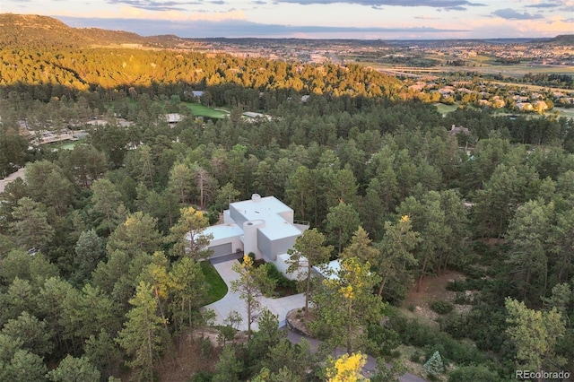 aerial view featuring a forest view