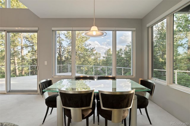 dining area featuring light colored carpet