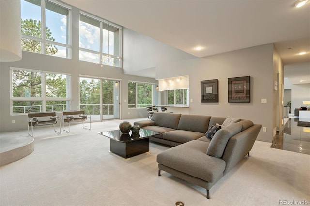 living area with carpet floors and a high ceiling