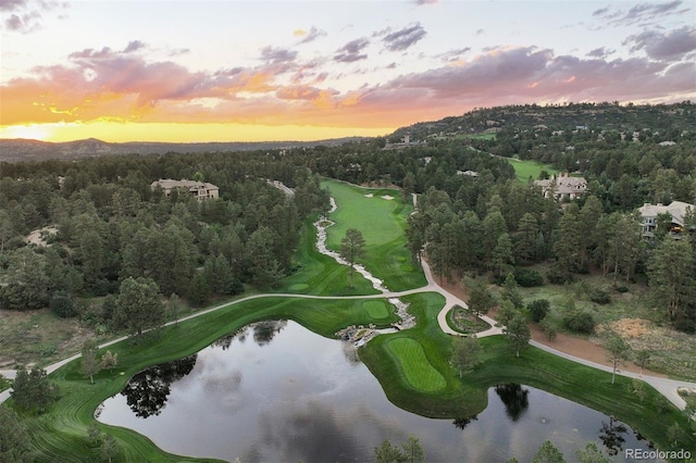 bird's eye view with a water view and a view of trees