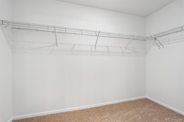 spacious closet with carpet floors