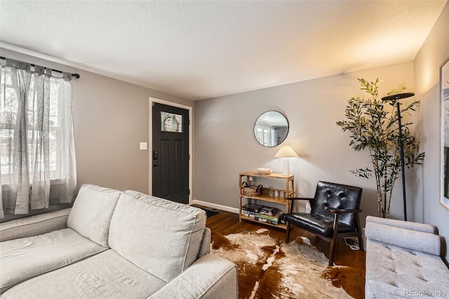 living room featuring dark hardwood / wood-style floors