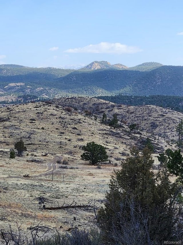 Listing photo 2 for TR-47 35th Trl, Cotopaxi CO 81223