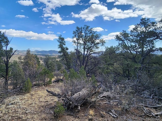 Listing photo 3 for TR-47 35th Trl, Cotopaxi CO 81223